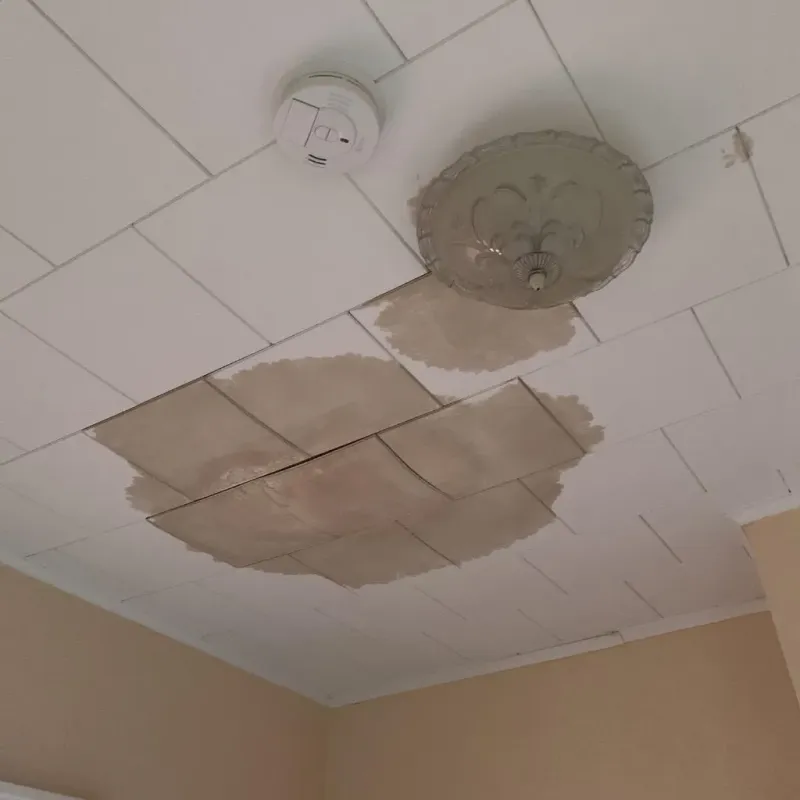 Ceiling Water Damage Repair in Northwood, IA