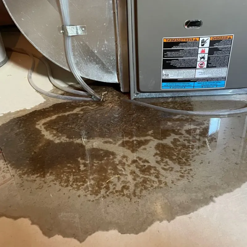 Pipe Burst and Leak Restoration in Northwood, IA