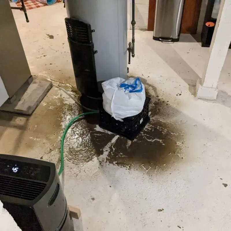Sewage Backup Cleanup Service in Northwood, IA